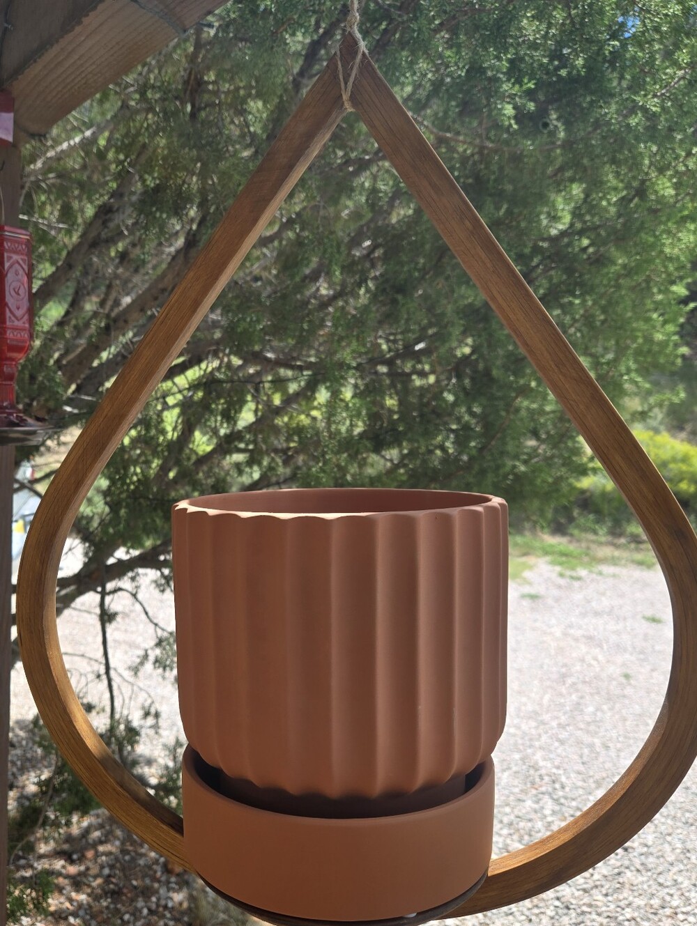 Wood Teardrop Bubble Plant Hanger Medium New